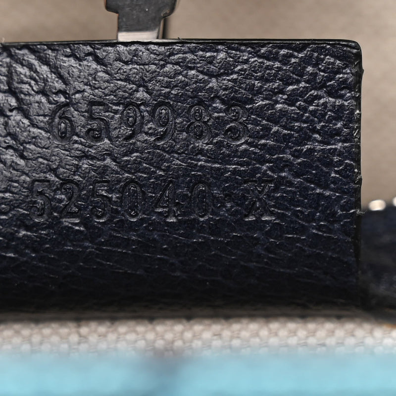 Multicolor Textured Dollar Calfskin