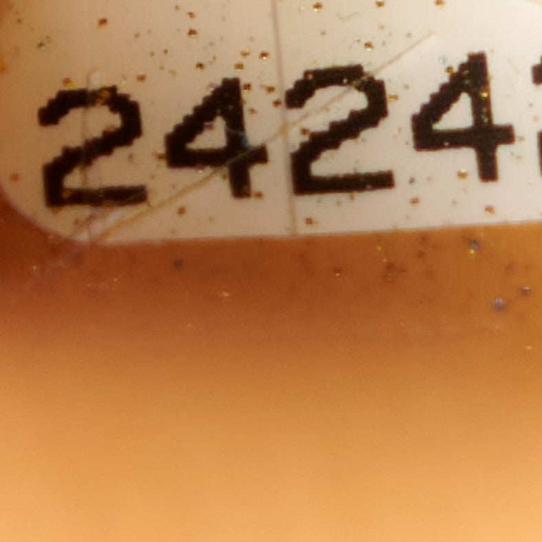 Grained Vegetal Calfskin Small Urban