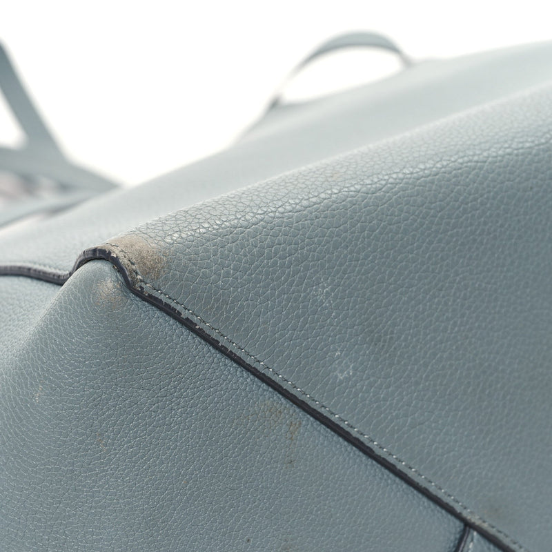 Soft Grained Calfskin Small Belt Cabas