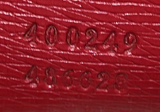 Dionysus Bag Blooms Print Leather Medium