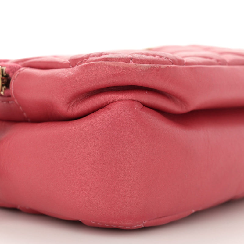 Calfskin Quilted Day Trips Camera Case