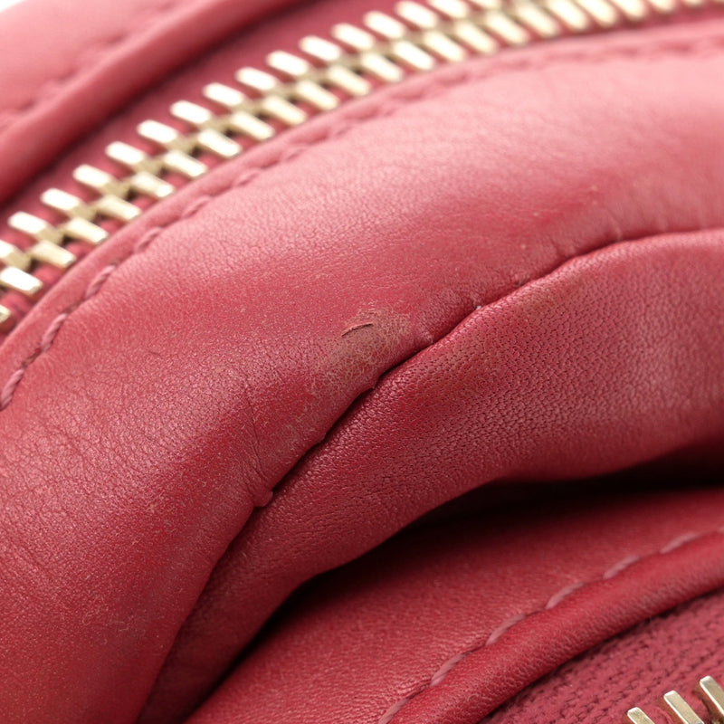 Calfskin Quilted Day Trips Camera Case