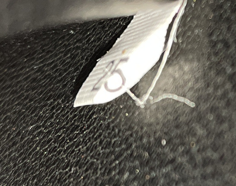 Prada Cahier Rounded Crossbody Bag