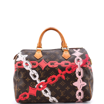 Speedy Handbag Limited Edition Bay