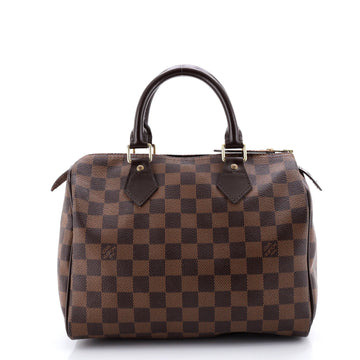 Speedy Handbag Damier 25