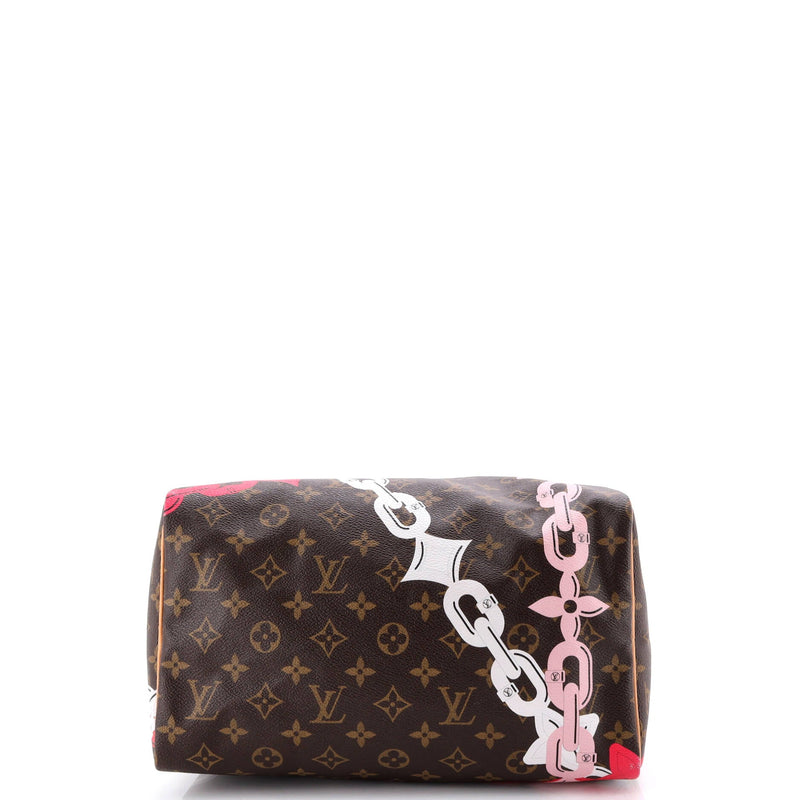 Speedy Handbag Limited Edition Bay