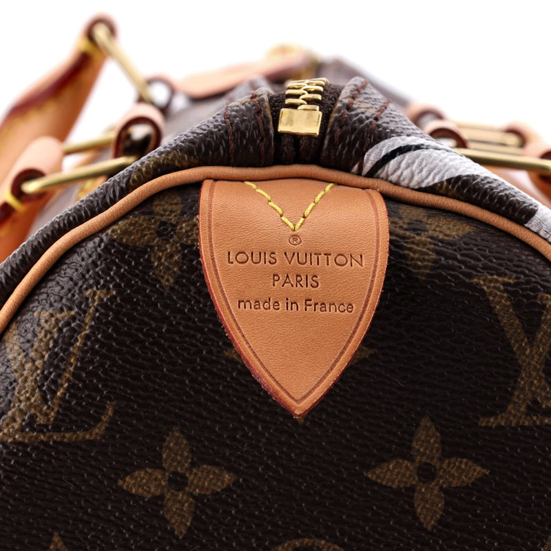 Speedy Handbag Limited Edition Bay