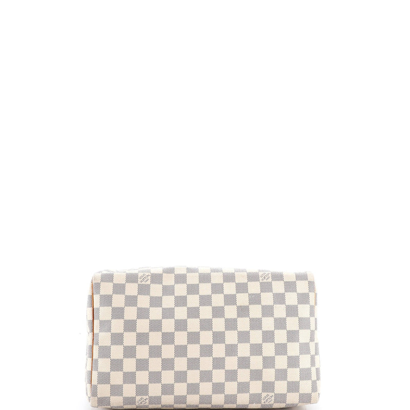 Speedy Handbag Damier 30