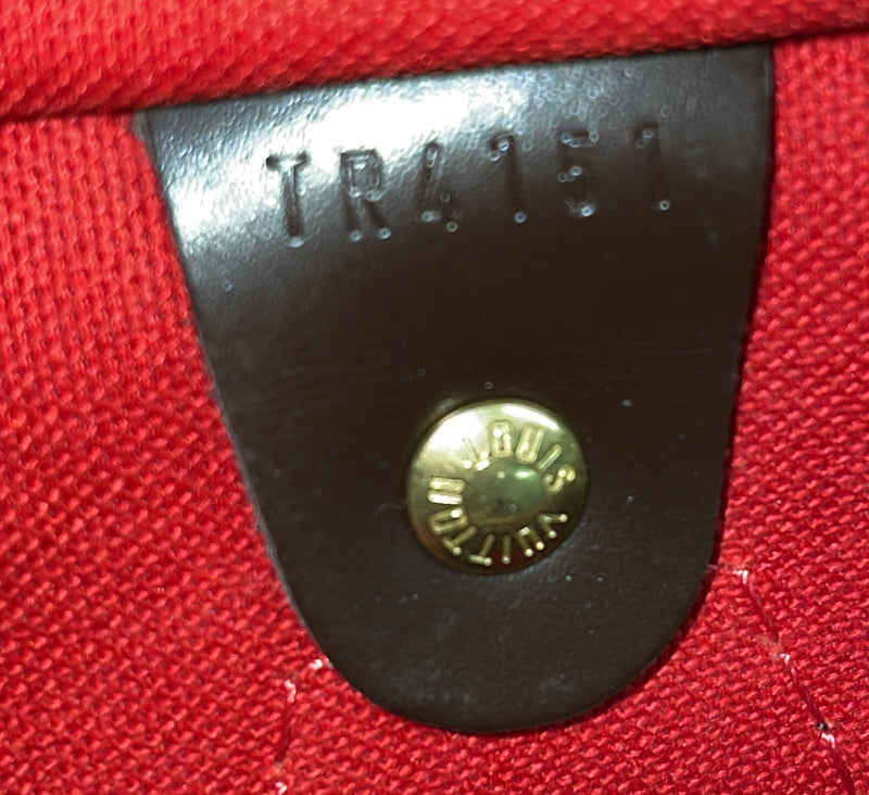 Speedy Handbag Damier 30