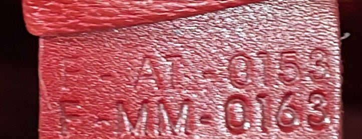 Luggage Bag Smooth Leather Mini