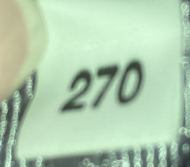 Re-Edition Hobo Sequins Mini