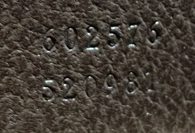 Ophidia Zip Around Camera Bag Gg Coated