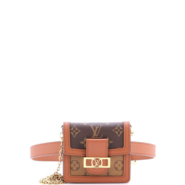 Louis Vuitton Dauphine Bumbag Reverse