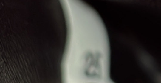 Cahier Crossbody Bag Embellished Leather