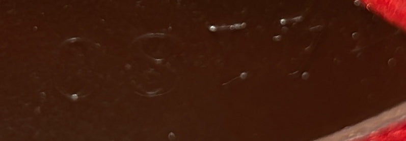 Neverfull Tote Damier Pm