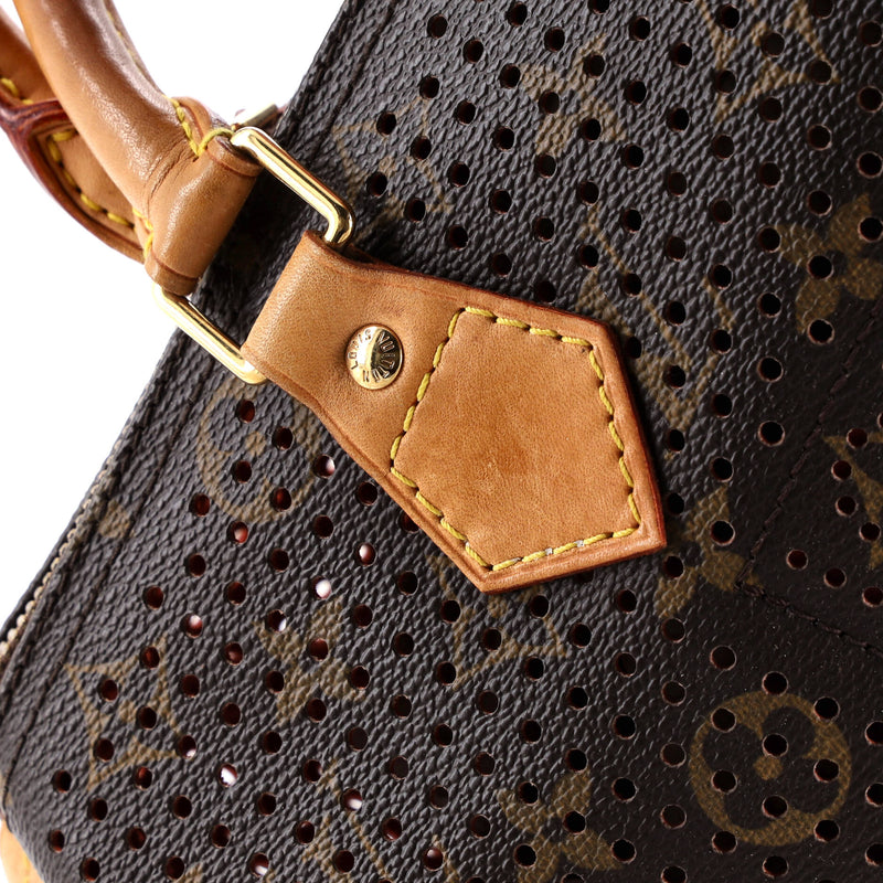 Speedy Handbag Perforated Canvas 30