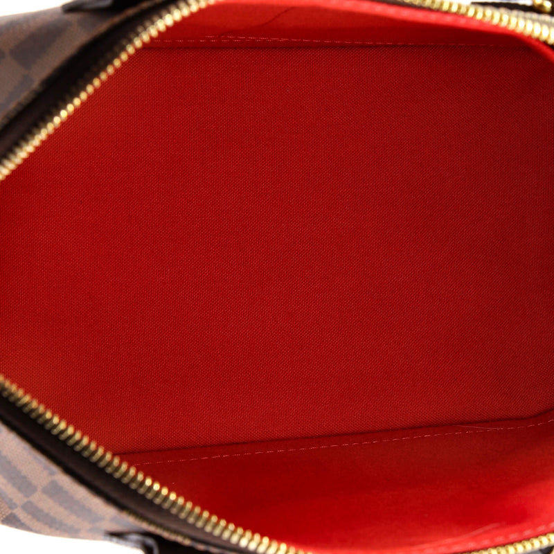 Alma Handbag Damier Pm