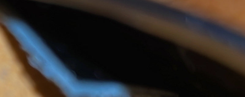 Wynwood Handbag Vernis With Canvas And