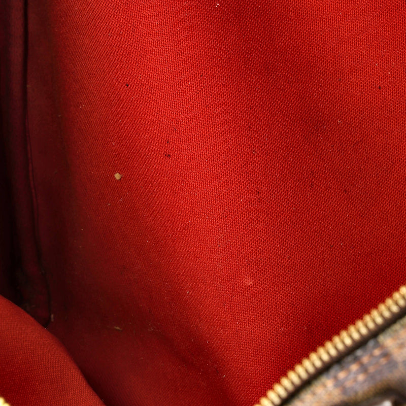 Speedy Handbag Damier 30