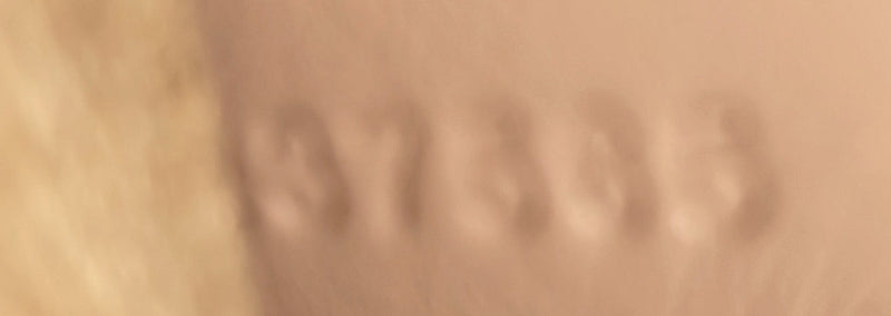 Woody Tote Leather Large