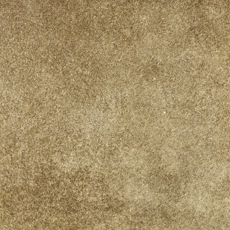 Dionysus Bag Gg Coated Canvas Medium