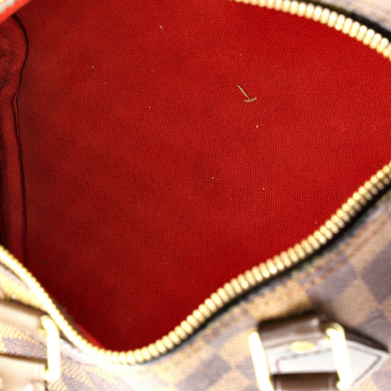 Speedy Handbag Damier 25