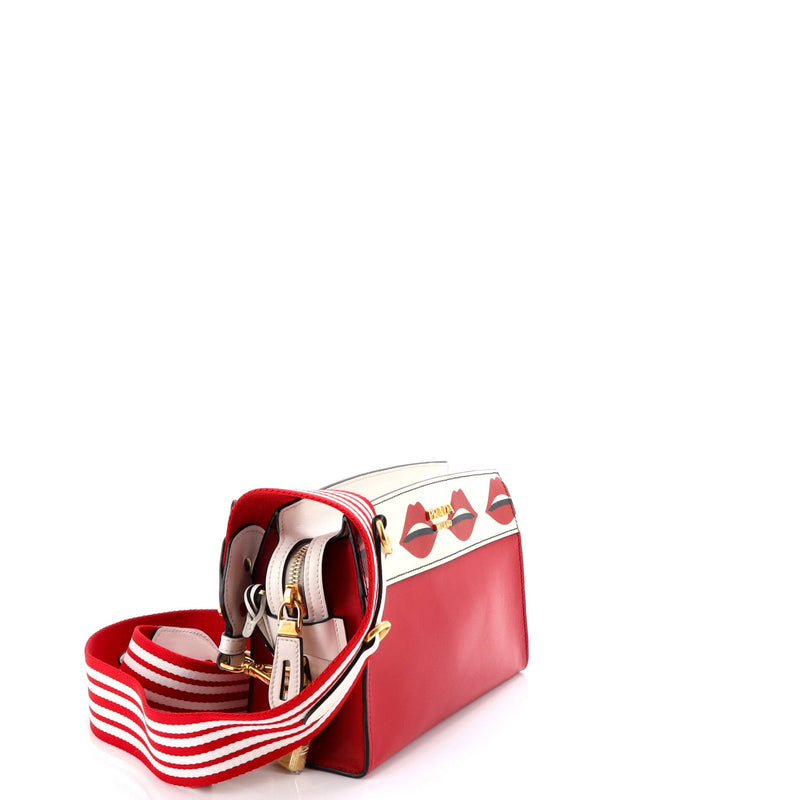 Esplanade Crossbody Bag Printed Saffiano