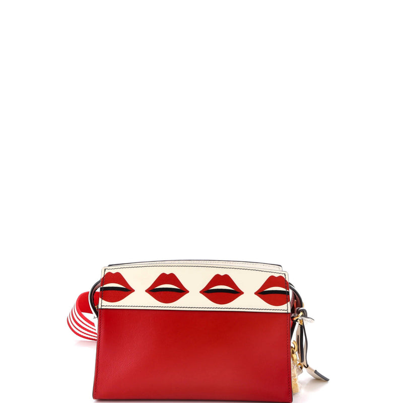 Esplanade Crossbody Bag Printed Saffiano