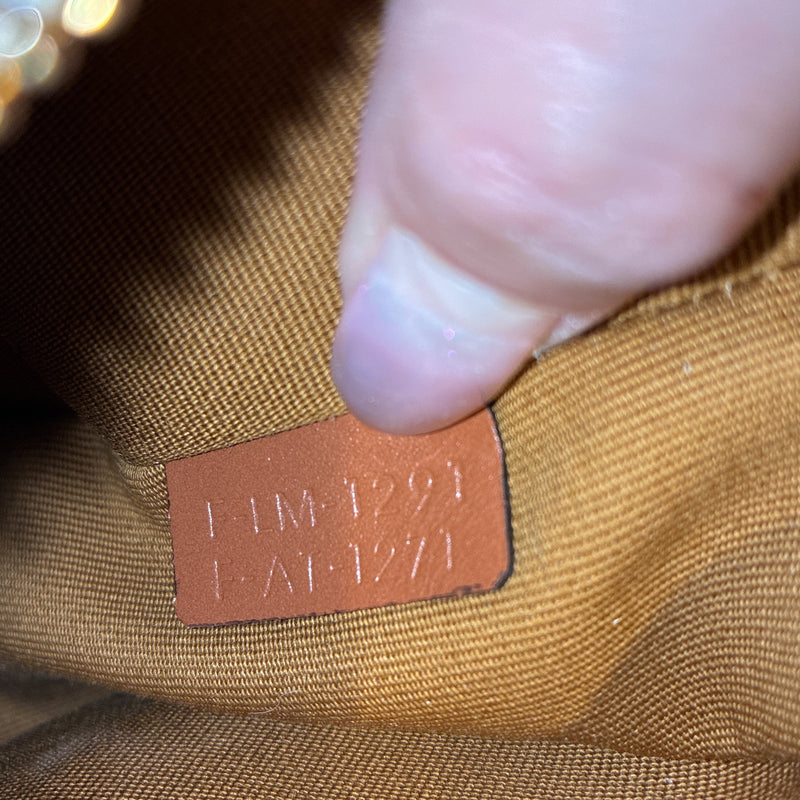 Ava Bag Triomphe Coated Canvas