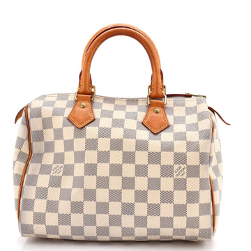 Speedy Handbag Damier 25