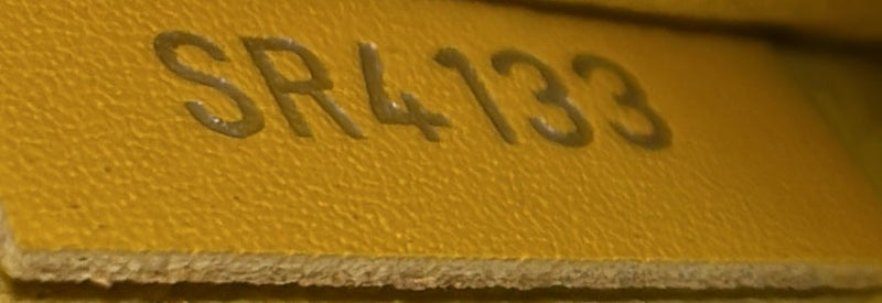 Neverfull Tote Epi Leather Mm