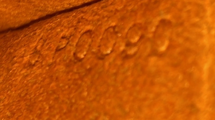 Musette Tango Handbag Canvas