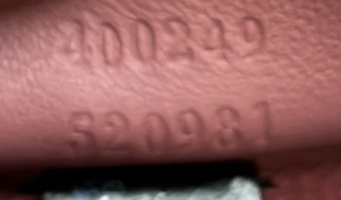 Dionysus Bag Blooms Print Gg Coated