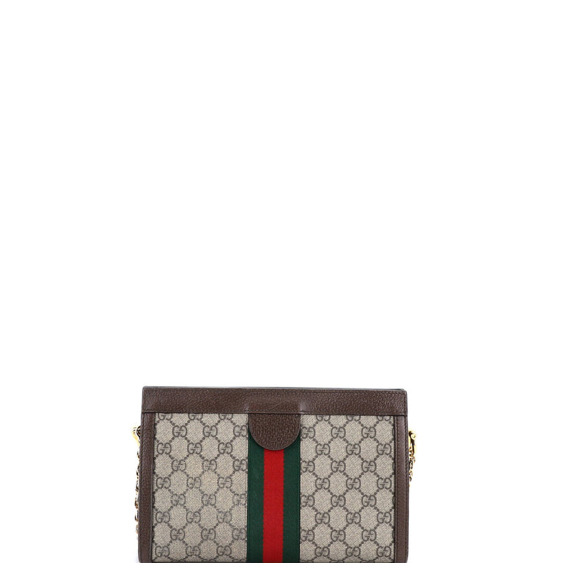 Ophidia Chain Shoulder Bag Gg Coated
