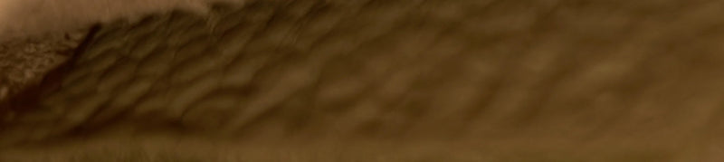 Sangle Seau Bag Calfskin Small