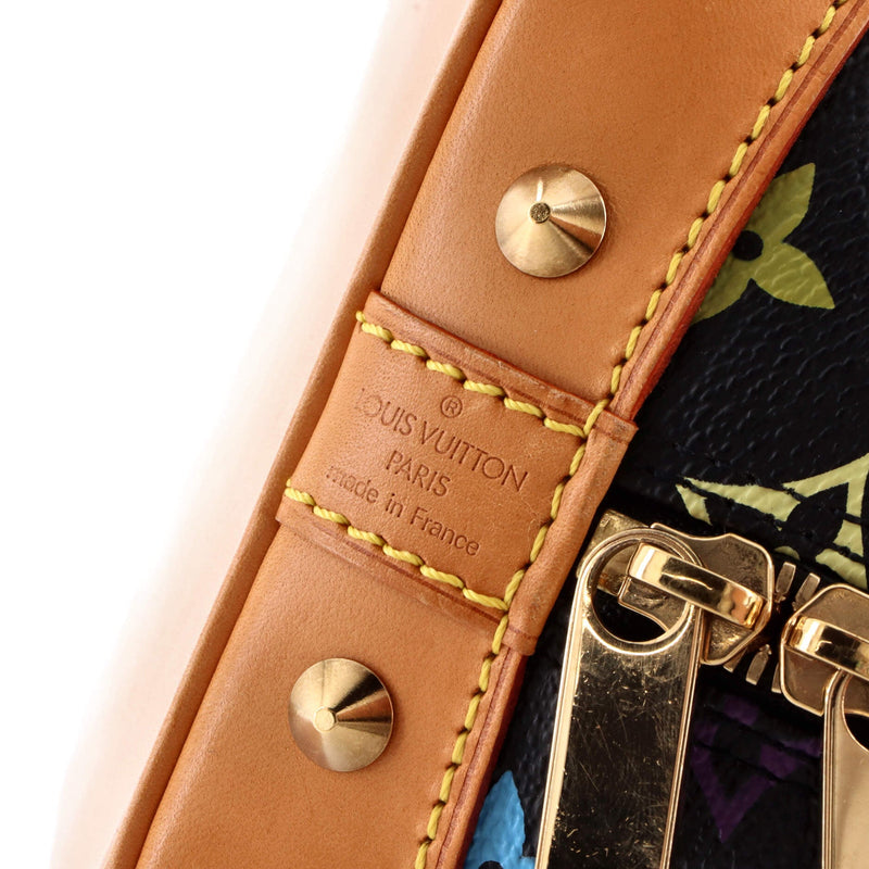 Alma Handbag Multicolor Pm