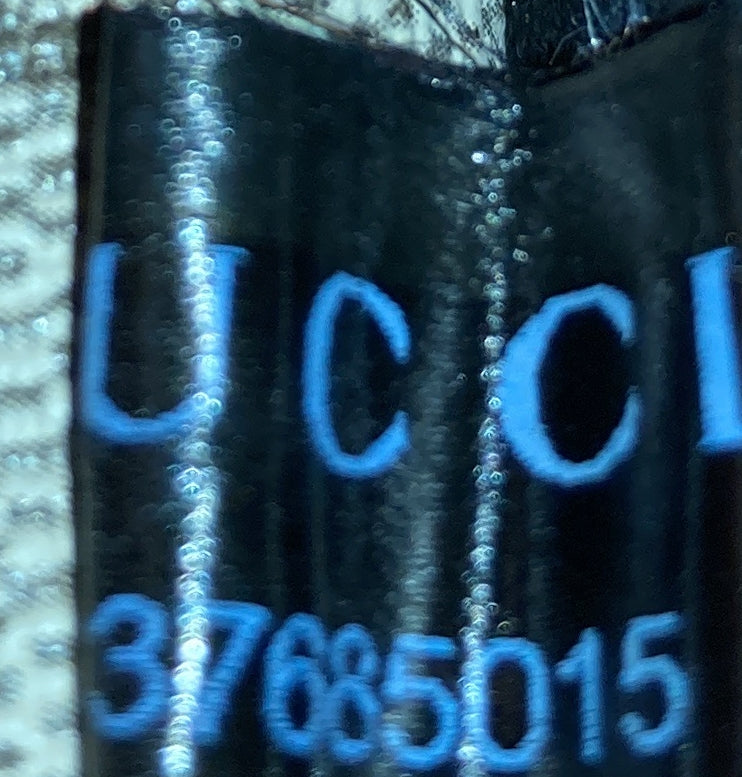 Dionysus Bag Gg Coated Canvas With