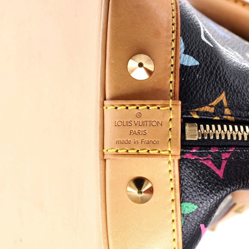 Alma Handbag Multicolor Pm