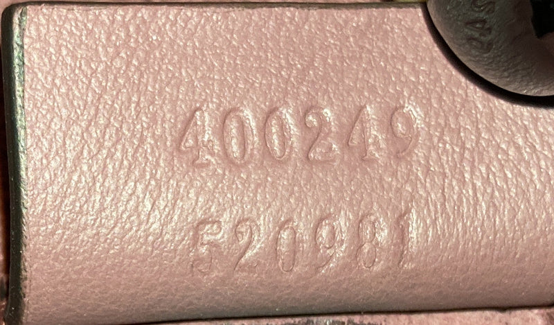 Dionysus Bag Blooms Print Gg Coated