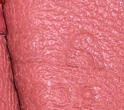 Jige Elan Clutch Epsom 29