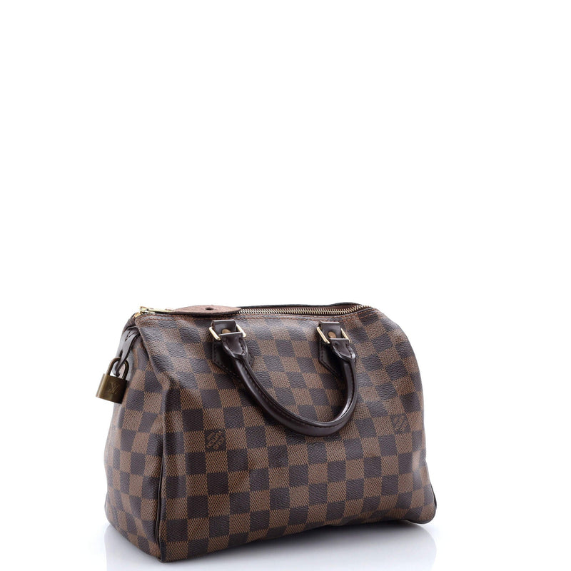 Speedy Handbag Damier 25
