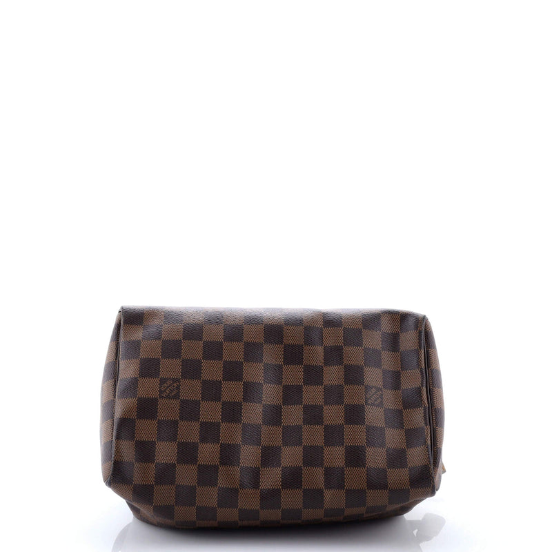Speedy Handbag Damier 25