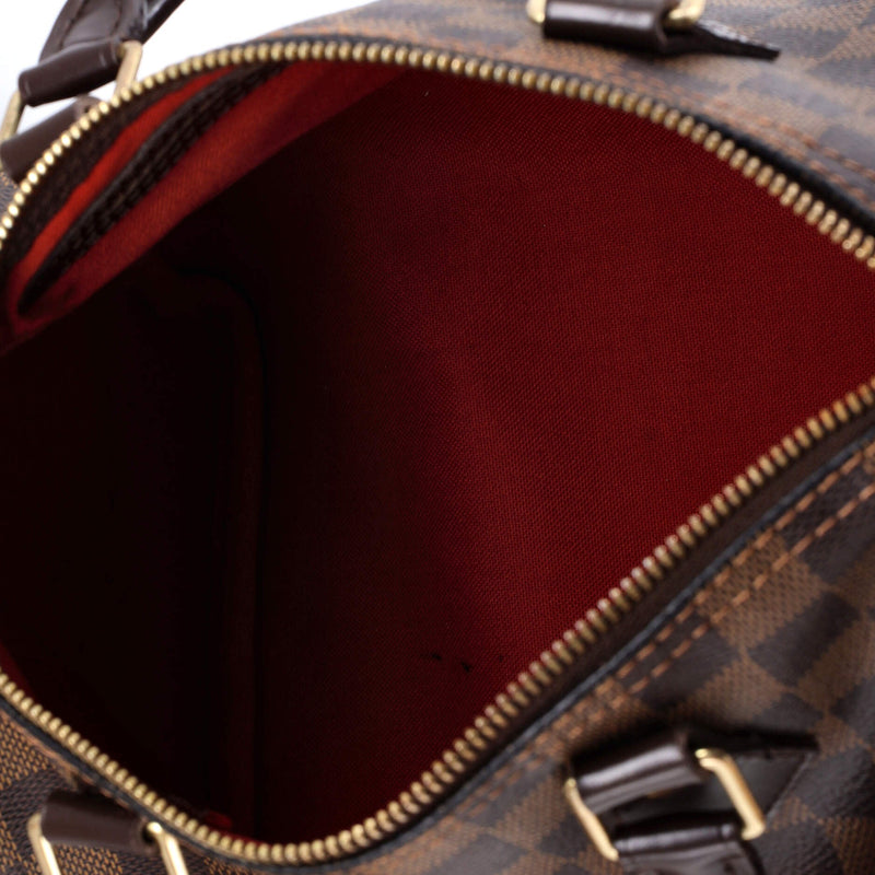 Speedy Handbag Damier 25