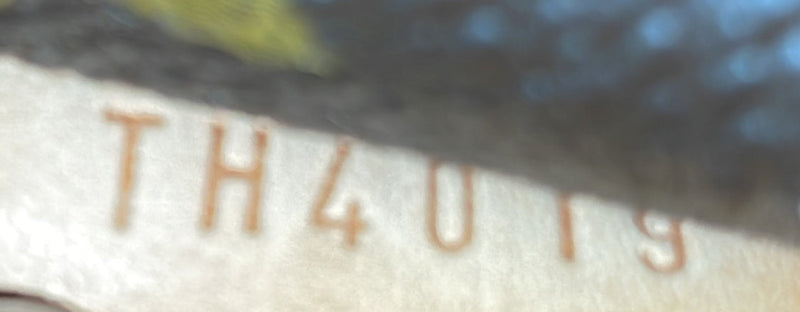 Totally Handbag Canvas Mm