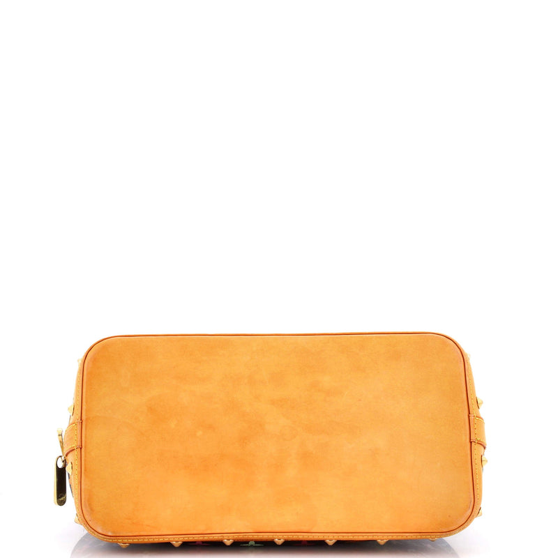 Alma Handbag Multicolor Pm