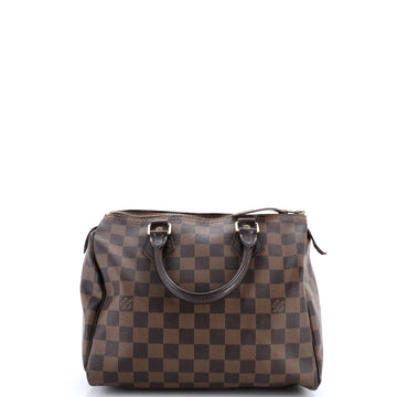 Speedy Handbag Damier 25
