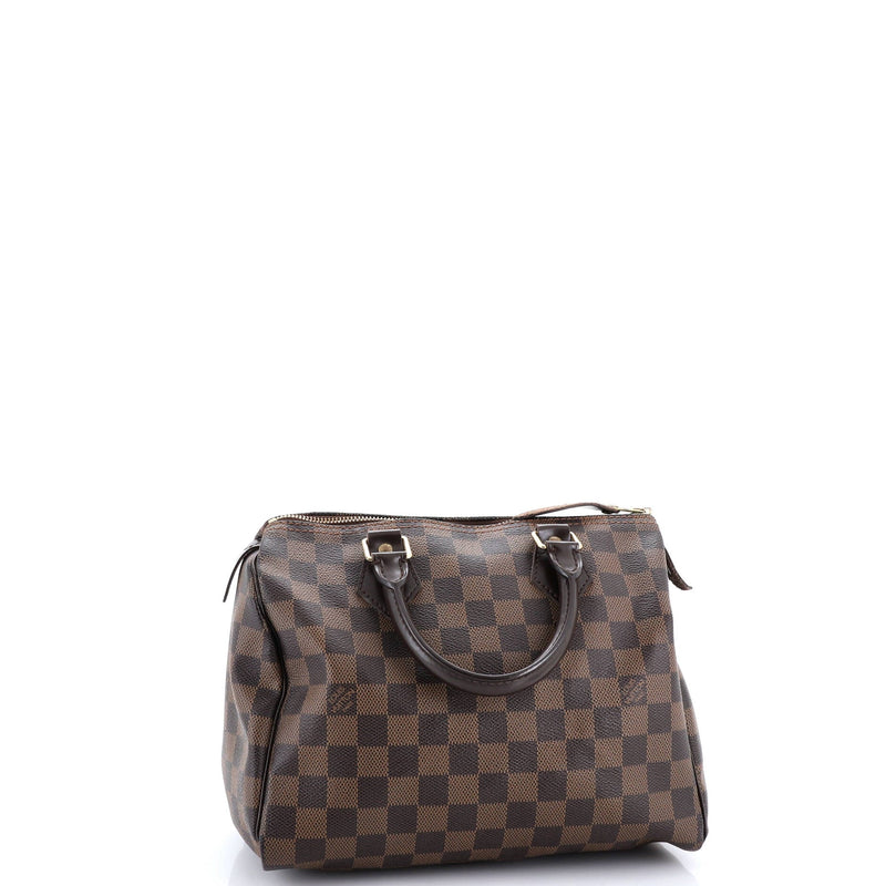 Speedy Handbag Damier 25