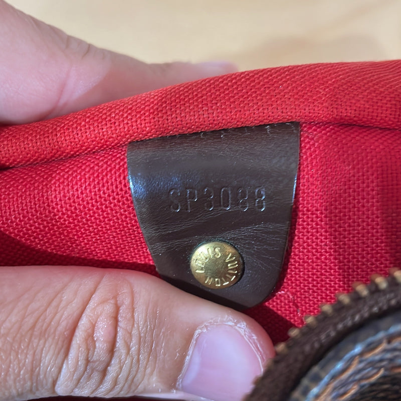 Speedy Handbag Damier 25