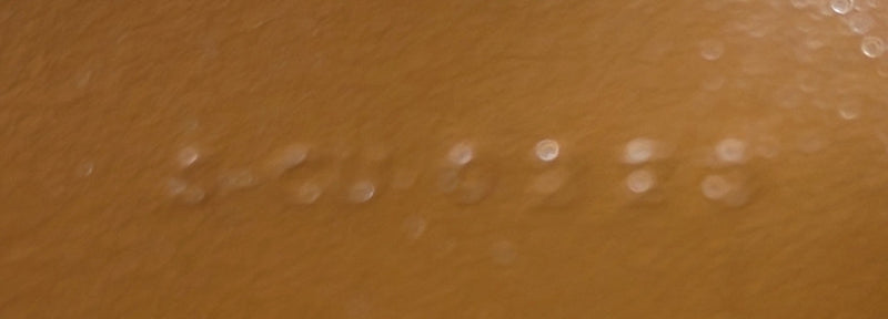 Ava Bag Studded Leather Mini