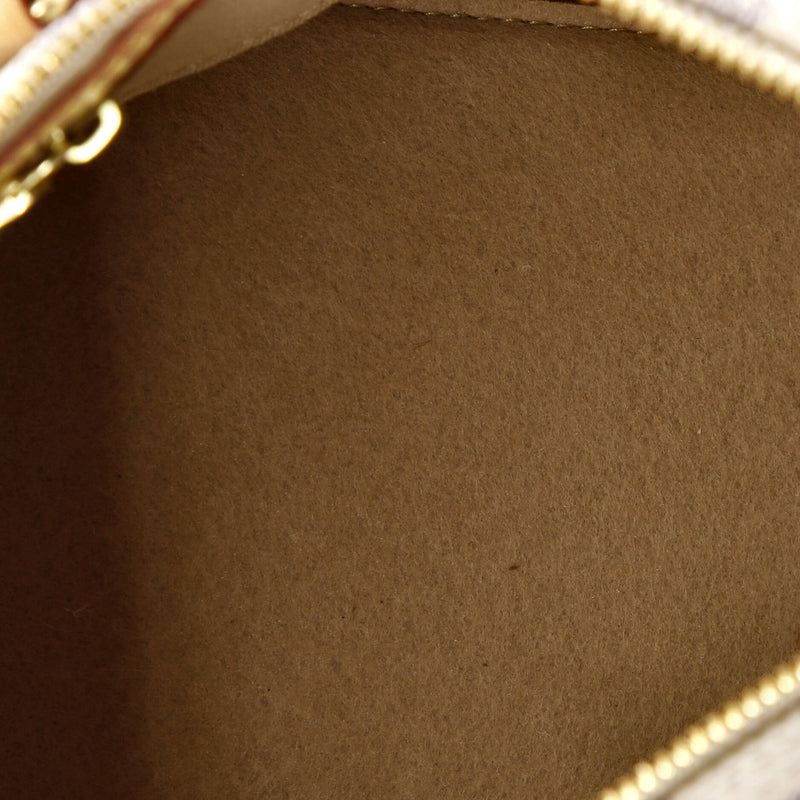 Speedy Bandouliere Bag Damier 25